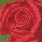 Diamond Dotz – gyémántfestő kép, harmatcseppes rózsa