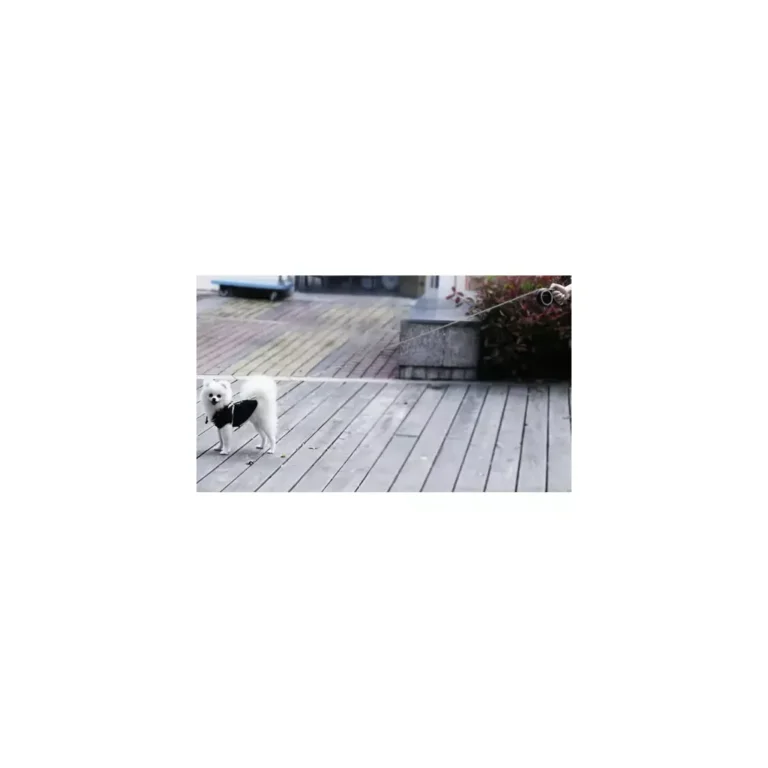 Automata kutyapóráz fényviszsaverő szalaggal, 5 m, fekete-szürke