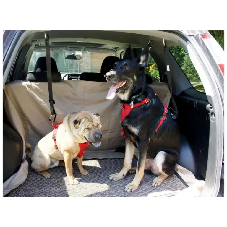 Autós biztonsági öv kutya biztonsági pórázhoz