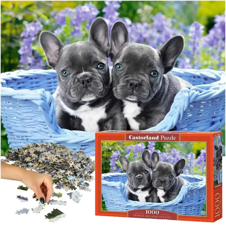 Castorland Puzzle 1000 darabos - Francia Bulldog Kölykök: Otthoni Dekoráció és Családi Élmény Egyben