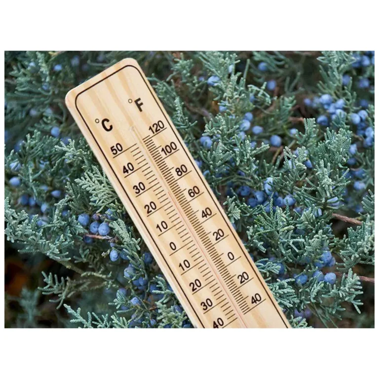 Fa hőmérő, 4x21,5 cm, viágosbarna