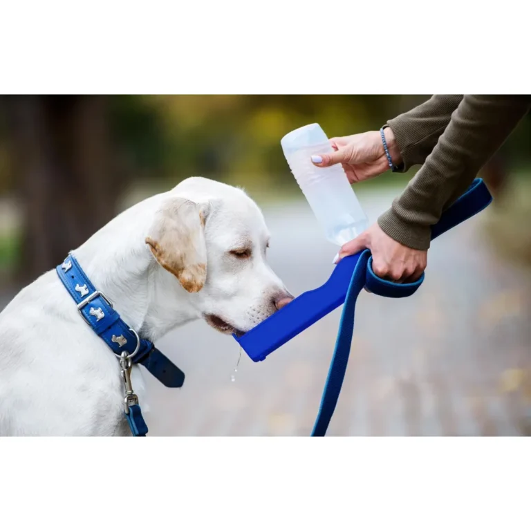 Genius Ideas vizespalack és itatótál kutyáknak, 500 ml, kék