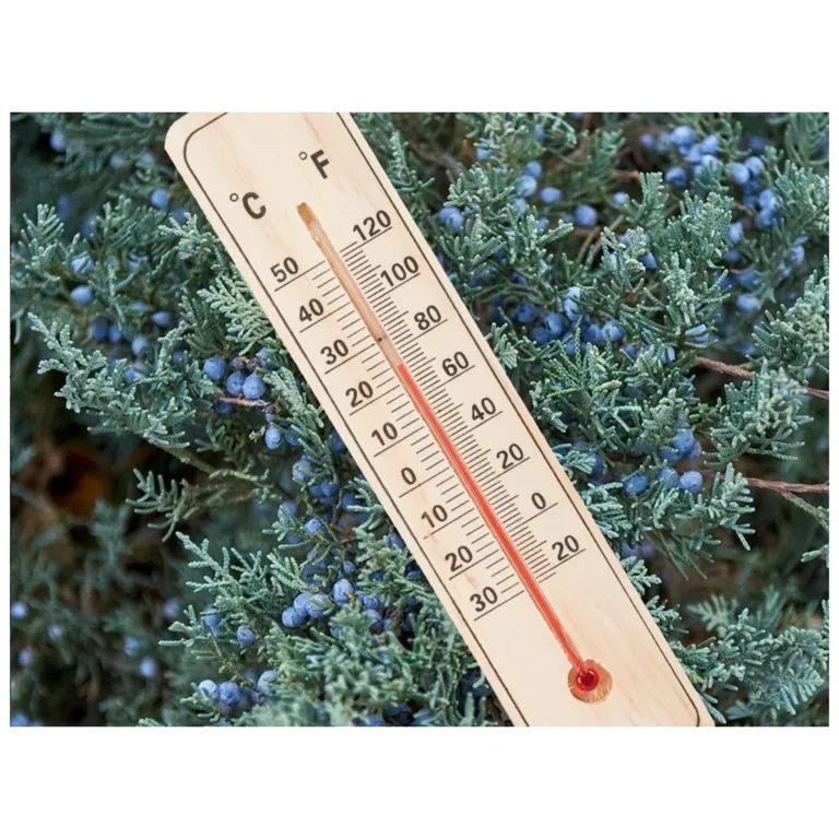 Fa hőmérő, 5x22 cm, viágosbarna