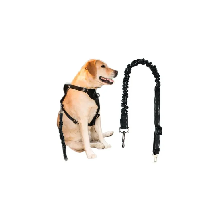 Elasztikus kutyahám, állítható méret 100-130 cm, fekete