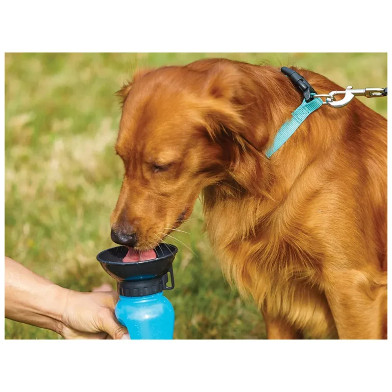 Utazó vizes palack kutyák számára 0.5l, kék