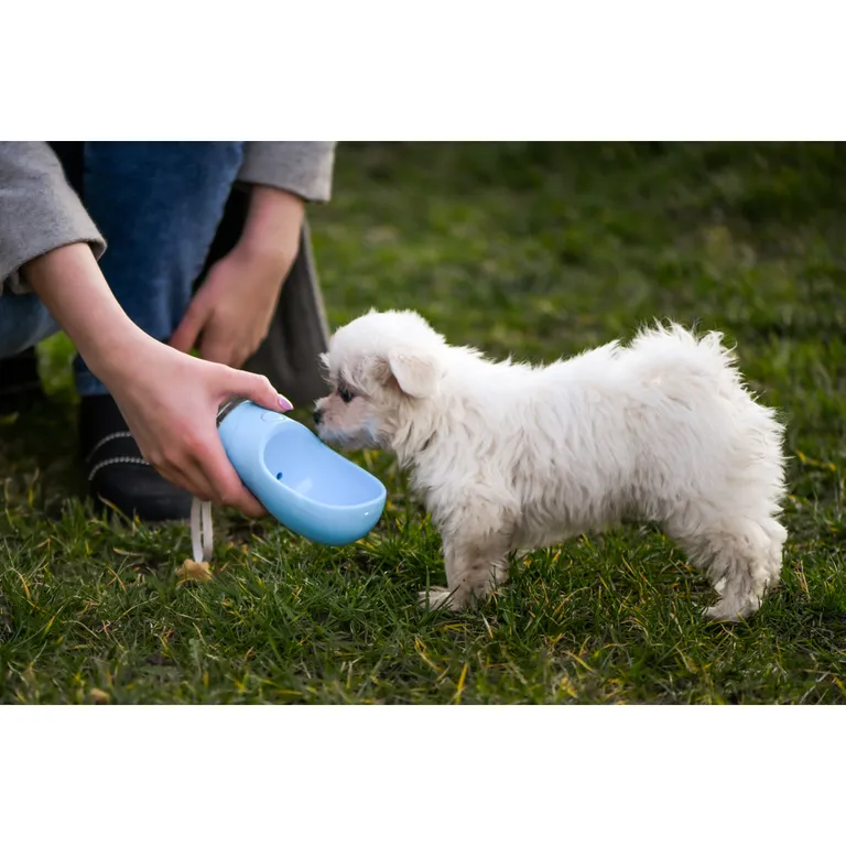 Utazó vizes palack kutyák számára, 350 ml kék