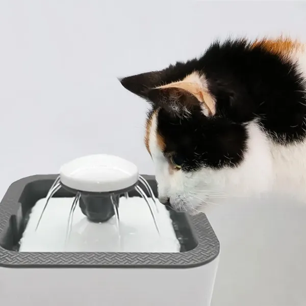 Automata Vízadagoló Állatoknak - Kutyák, Macskák és Egyéb Háziállatok Számára