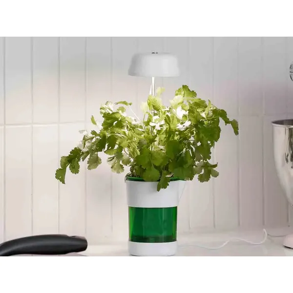 Növénynövesztő lámpapanel 6 LED-del, 4 UV LED-del és öntöző tálcával