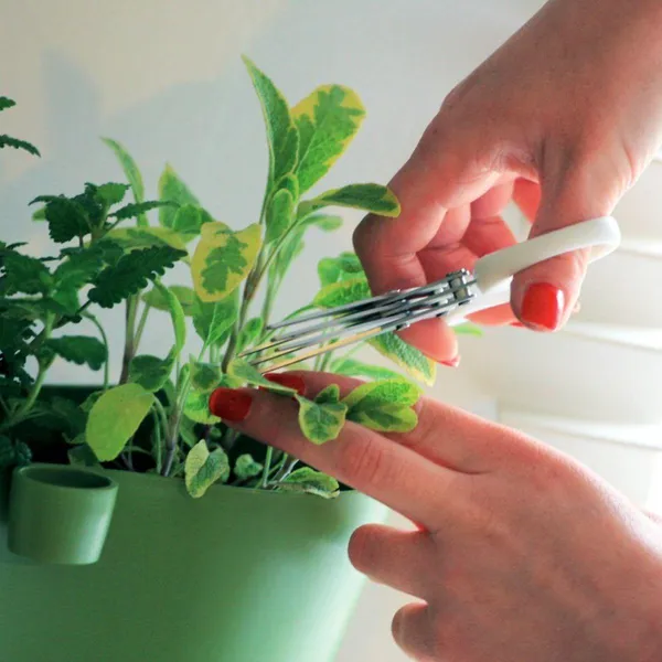 Herbs fűszernövény olló - hármas penge, ergonomikus fogantyú