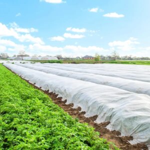 Springos® kerti fólia 17g/m² 1,6x5m fehér