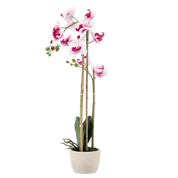 Mű orchidea - fehér-rózsaszín, 70 cm