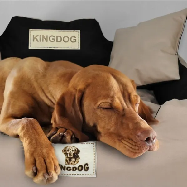 Kingdog xl bézs kutyafekhely 115x95 cm vízálló párnákkal - Image 5